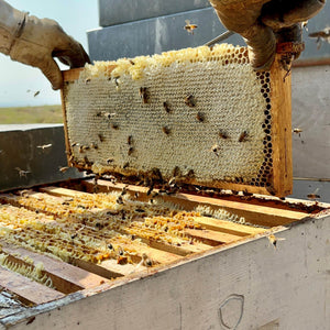 Elixir Miel photo cadre miel lavande rucher valensole